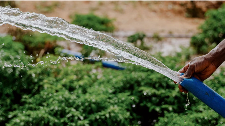 A man waters his fields in Niger